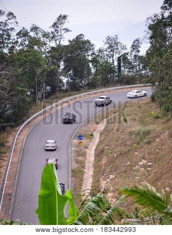 Mountain Road With Green Forest