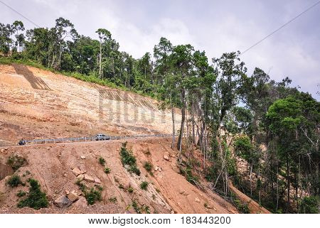 Mountain Road With Green Forest
