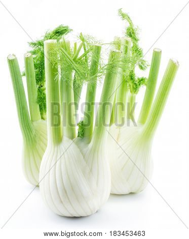 Florence fennel bulbs. Isolated on a white background.