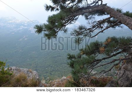 Fog Over The Rocks Of Ai Petri
