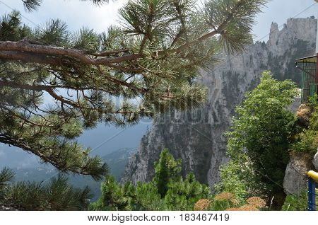 Fog Over The Rocks Of Ai Petri