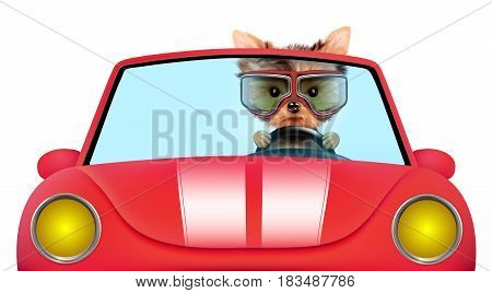 Funny puppy sitting in the red cabriolet with aviator goggles isolated on white background. Car rental and buying concept concept. 3D illustration with clipping path