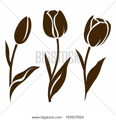 Vector set of tulip silhouette. Decorative flowers