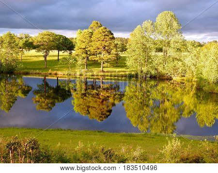 Nature in the late afternoon on the pond.