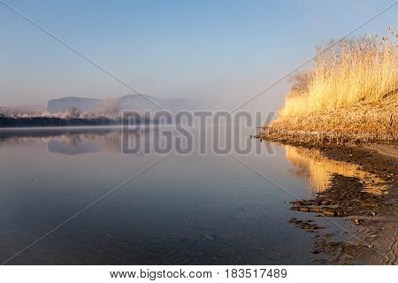 Morning on the river early morning reeds mist fog and water surface on the river