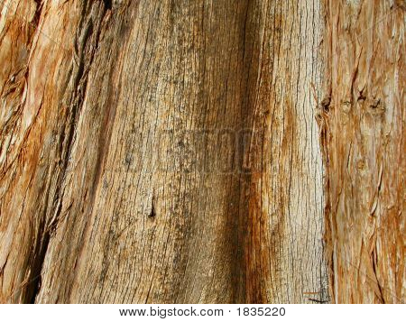 Holzmaserung