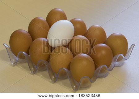 Light and dark eggs concept concord in multiethnic team all hands together