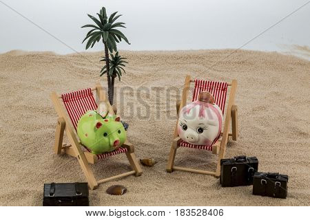 piggy lounging