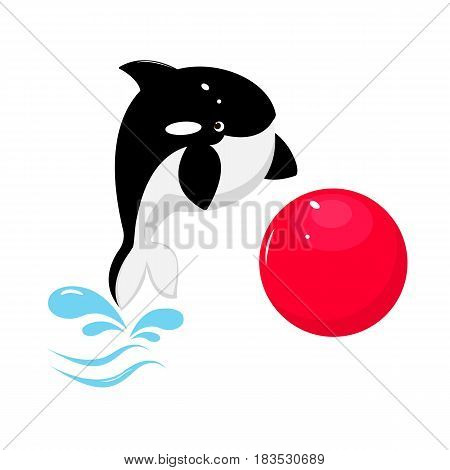 Vector flat background. Killer whale with red ball. Cute marine anumal.