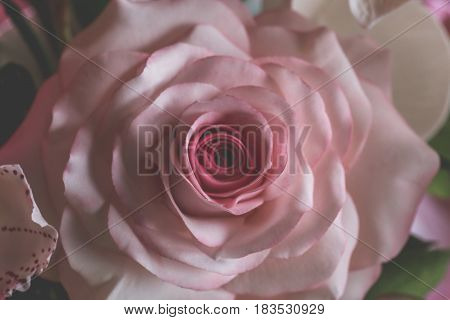 Close up Rose from pastry mastic or sugar, handmade pastry decorative, food art design concept