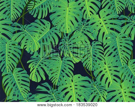 Tropical background with palm leaves. Summer colorful pattern with tropical plants. Vector stock.