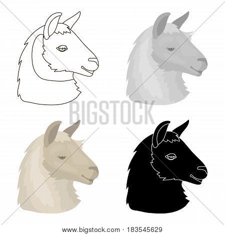 Lama icon in cartoon design isolated on white background. Realistic animals symbol stock vector illustration.
