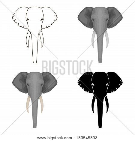 Elephant icon in cartoon design isolated on white background. Realistic animals symbol stock vector illustration.