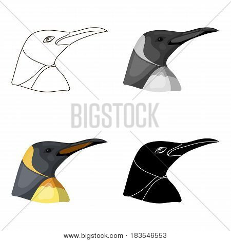 Penguin icon in cartoon design isolated on white background. Realistic animals symbol stock vector illustration.