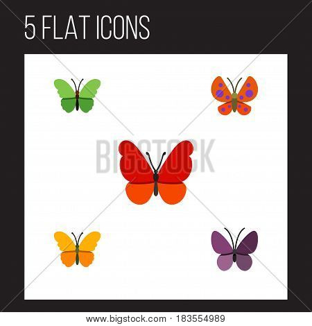 Flat Butterfly Set Of Violet Wing, Monarch, Moth And Other Vector Objects. Also Includes Butterfly, Monarch, Milkweed Elements.