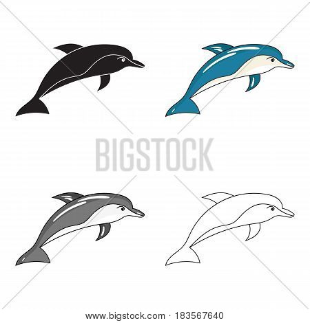 Dolphin icon in cartoon design isolated on white background. Sea animals symbol stock vector illustration.