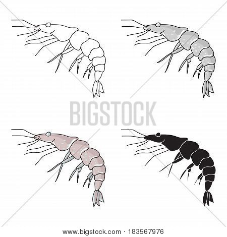 Shrimp icon in cartoon design isolated on white background. Sea animals symbol stock vector illustration.