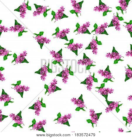 Very high quality original trendy vector seamless pattern with blooming lilac flower. Spring or summer design
