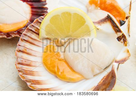 some Fresh scallops group on marble with lemon