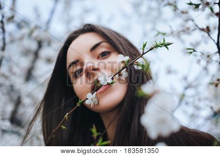 Girl gently bites branch of blossom apricot tree in spring.