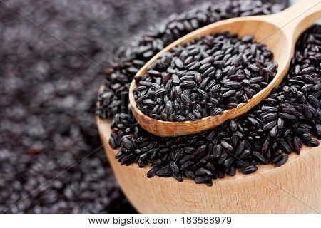 Organic nerone black rice in spoon close up