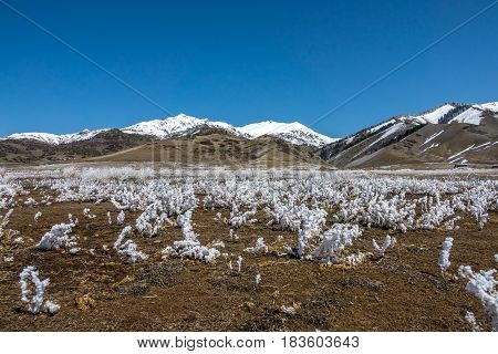 The Snow Mountain Of Tianshan With The Silver Thaw Near The Sailimu Lake In Early Spring Time Of Xin