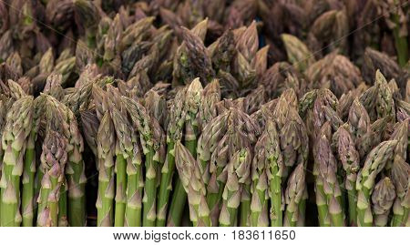 Fresh asparagus in bundles on local farmers market