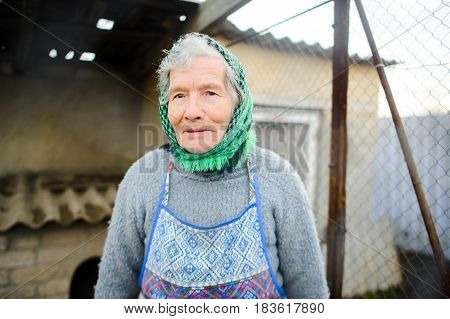Old peasant woman. Calm wise sight. gray hair from under a scarf. Wrinkled face.