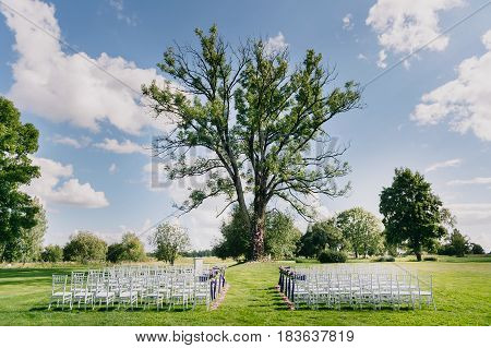 The place for the wedding ceremony. White wedding chairs are arranged. A huge lair for a wedding ceremony, a green lawn and a blue sky