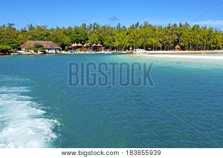 Beach Ile Du Cerfs Seaweed   Indian People And Rock