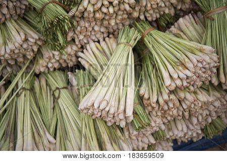 Laos Vientiane Talat Sao Market