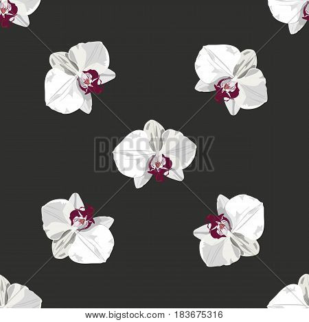 White hand drawn orchid seamless pattern. Vector flower orchid. Romantic color tropical flower orchid. Could be used s background, for textile, fabric, wallpaper, cards.