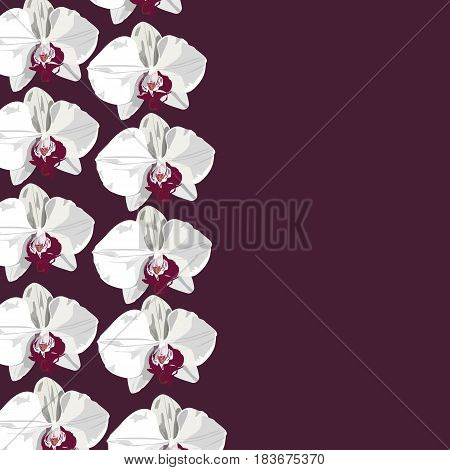 White hand drawn orchid template. Vector flower orchid. Romantic color tropical flower orchid.