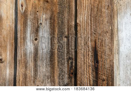 Wood texture. Background of old panels. Old wooden wall with faded planks