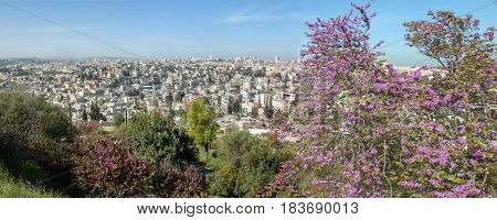 Spring views of the holy city Jerusalem