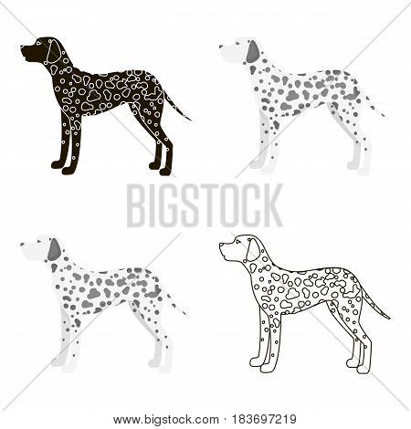 Dalmatian vector illustration icon in cartoon design