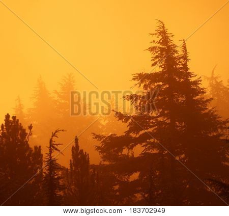 Mistz Sunset at the Paulinas Peak in Oregon