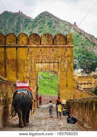 People Riding Elephants At Amber Fort In Jaipur, India