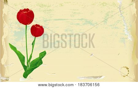 Vintage watercolor card with embossed red tulips