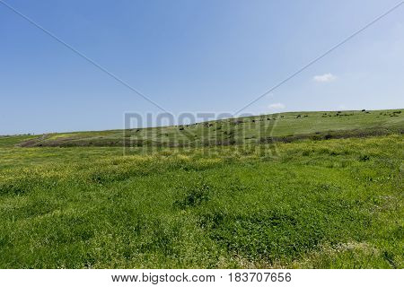 Walking Through The Municipality Of Ajo In Cantabria