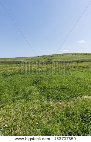 Walking Through The Municipality Of Ajo In Cantabria