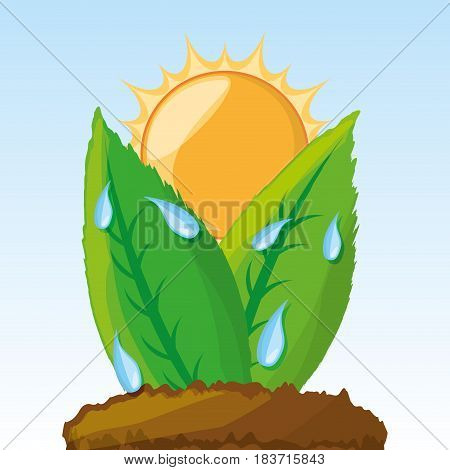 photosynthesis process in the plants, vector illustration