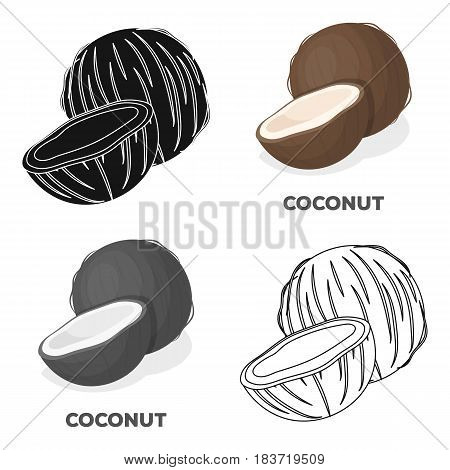 Coconat.Different kinds of nuts single icon in cartoon style vector symbol stock web illustration.