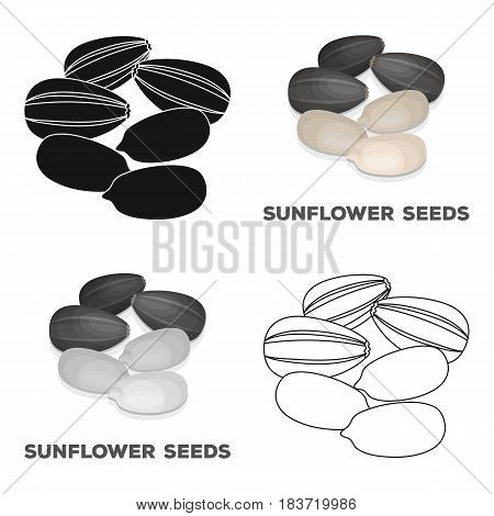 Sunflower seeds.Different kinds of nuts single icon in cartoon style vector symbol stock web illustration.