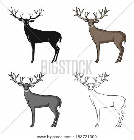 Deer with big horns.Animals single icon in cartoon style vector symbol stock illustration .