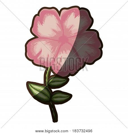 silhouette shading of malva flower in pink color vector illustration