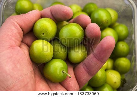A handful of sour plums,  Salt and plum food is very tasty. There are a handful of sour plums, sour plums for pregnant women, ant women,