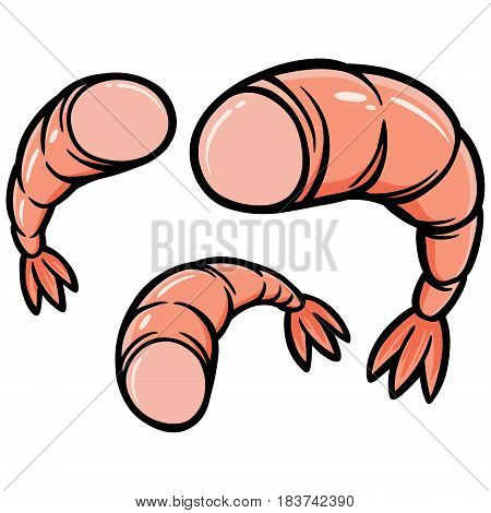 A vector illustration of a Cajun Shrimp.