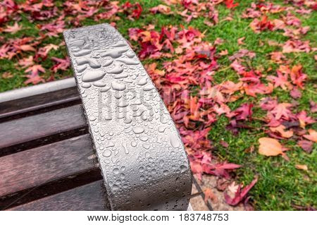 Macro waterdroplets on the bench with red yellow and green colorfull leaves of UK autumn.