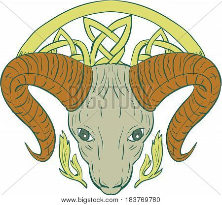 Illustration of stylized ram bighorn mountain goat head with Celtic knot called Icovellavna plait work or knotwork woven into unbroken cord design viewed from front set on isolated white background.